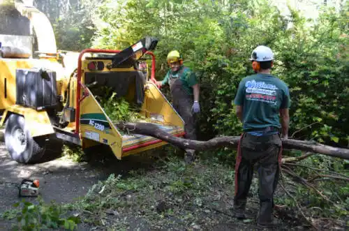 tree services Lockesburg